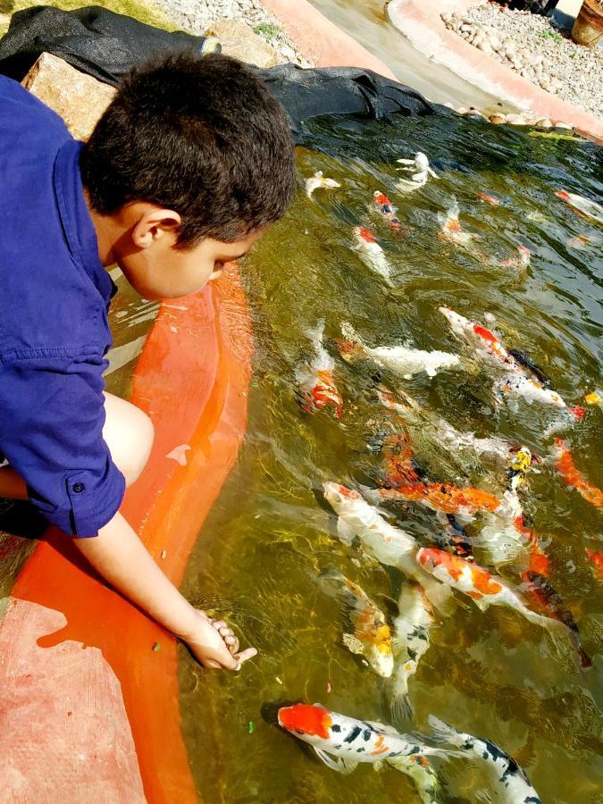 Fundera Aqua Stay Yelagiri Bagian luar foto